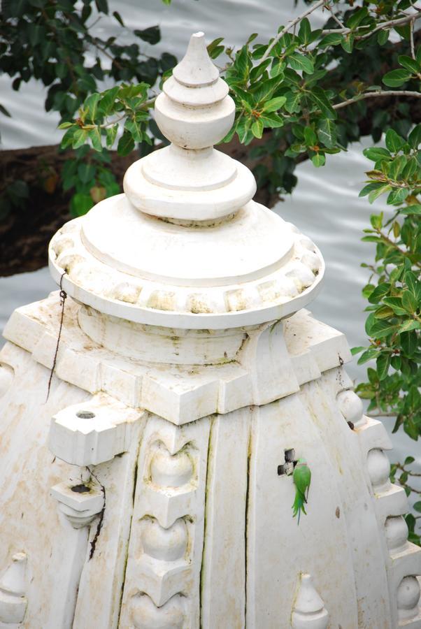The Shaharkot By The Lake Hotel Udaipur Exterior foto